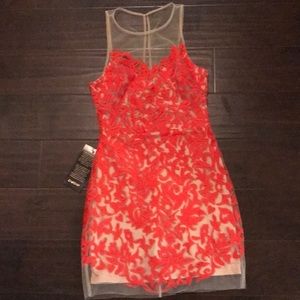 BNWT Bebe Rosa Embroidered Sheer Dress
